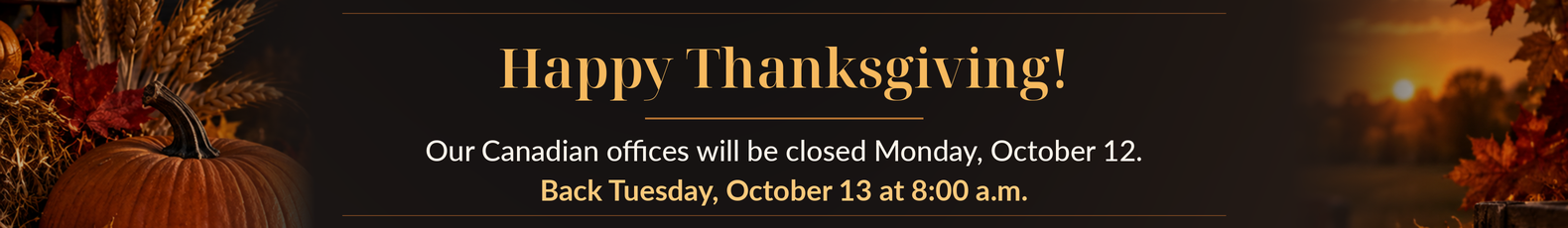 Happy Thanksgiving!